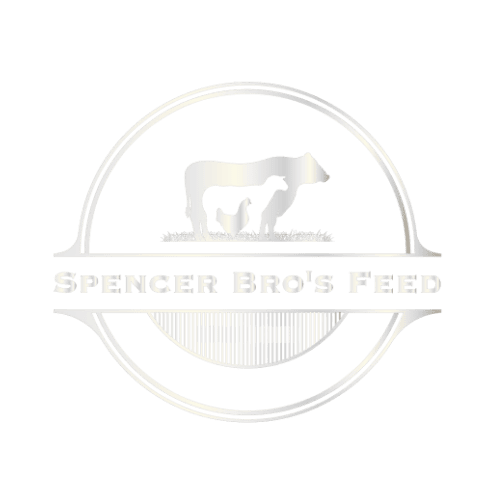 Spencer Brother's Feed